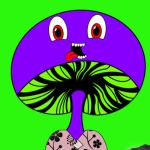 Liam profile picture